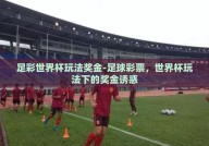 足彩世界杯玩法奖金-足球彩票，世界杯玩法下的奖金诱惑