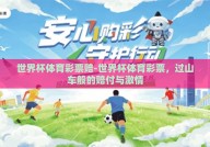 世界杯体育彩票赔-世界杯体育彩票，过山车般的赔付与激情