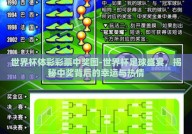 世界杯体彩彩票中奖图-世界杯足球盛宴，揭秘中奖背后的幸运与热情
