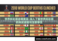 世界杯彩票去哪里买-深入了解世界杯彩票的购买渠道与注意事项