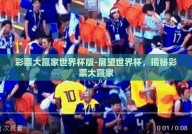 彩票大赢家世界杯版-展望世界杯，揭秘彩票大赢家