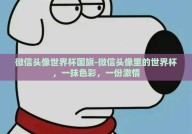 微信头像世界杯国旗-微信头像里的世界杯，一抹色彩，一份激情