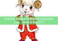 世界杯彩票在哪里-探索世界杯彩票的趣味之旅，何处寻觅幸运之门？