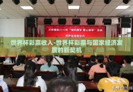 世界杯彩票收入-世界杯彩票与国家经济发展的新契机