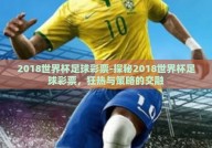 2018世界杯足球彩票-探秘2018世界杯足球彩票，狂热与策略的交融