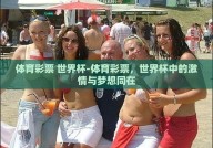 体育彩票 世界杯-体育彩票，世界杯中的激情与梦想同在