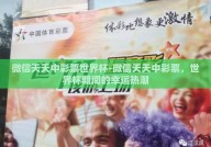 微信天天中彩票世界杯-微信天天中彩票，世界杯期间的幸运热潮