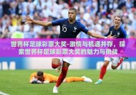 世界杯足球彩票大奖-激情与机遇并存，探索世界杯足球彩票大奖的魅力与挑战
