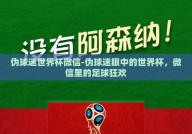 伪球迷世界杯微信-伪球迷眼中的世界杯，微信里的足球狂欢