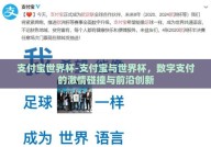 支付宝世界杯-支付宝与世界杯，数字支付的激情碰撞与前沿创新