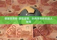 想赌世界杯-激情绿茵，扑向世界杯的迷人赌局