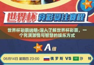 世界杯彩票说明-深入了解世界杯彩票，一个充满激情与智慧的娱乐方式