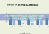2022卡塔尔世界杯彩票-追逐梦想与激情，2022卡塔尔世界杯彩票的背后故事