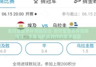 支付宝世界杯竞猜投注-支付宝世界杯竞猜投注，乐趣与挑战并存的数字盛宴