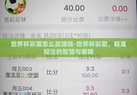 世界杯彩票怎么买赚钱-世界杯彩票，精准投注的智慧与策略