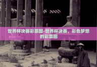 世界杯决赛彩票图-世界杯决赛，彩色梦想的彩票图