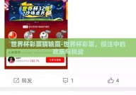 世界杯彩票猜输赢-世界杯彩票，投注中的欢乐与挑战