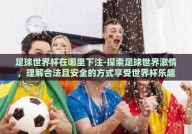 足球世界杯在哪里下注-探索足球世界激情，理解合法且安全的方式享受世界杯乐趣