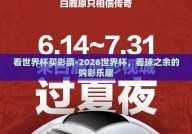看世界杯买彩票-2026世界杯，看球之余的购彩乐趣