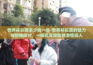 世界杯彩票多少钱一张-世界杯彩票的魅力与价格探讨，一探究竟你我的激情投入