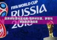 世界杯彩票中奖结果-世界杯彩票，梦想与幸运的对决探索