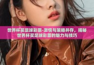 世界杯买足球彩票-激情与策略并存，揭秘世界杯买足球彩票的魅力与技巧
