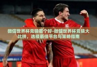 微信世界杯竞猜哪个好-微信世界杯竞猜大比拼，选择最佳平台与策略指南
