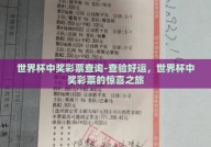 世界杯中奖彩票查询-查验好运，世界杯中奖彩票的惊喜之旅