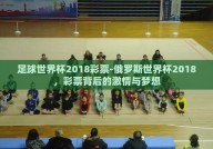足球世界杯2018彩票-俄罗斯世界杯2018，彩票背后的激情与梦想