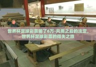 世界杯足球彩票输了6万-风雨之后的淡定，世界杯足球彩票的得失之旅