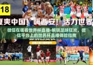 微信在哪看世界杯直播-解锁足球狂欢，微信平台上的世界杯直播体验指南