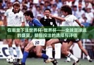 在哪里下注世界杯-世界杯——全球足球迷的盛宴，明智投注的选择与评估
