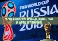 世界杯彩票多少钱-世界杯足球盛宴，彩票背后的趣谈与金额探析