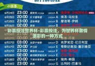 彩票投注世界杯-彩票投注，为世界杯激情添彩的一种方式