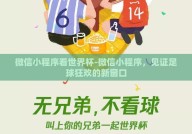 微信小程序看世界杯-微信小程序，见证足球狂欢的新窗口