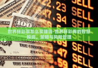 世界杯彩票怎么买赚钱-世界杯彩券的智慧投资，策略与风险管理