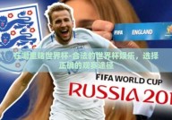 在哪里赌世界杯-合法的世界杯娱乐，选择正确的观赛途径