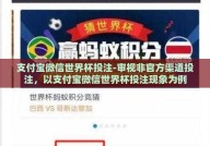 支付宝微信世界杯投注-审视非官方渠道投注，以支付宝微信世界杯投注现象为例