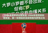 2006年世界杯彩票奖金-2006年世界杯彩票奖金，那一年燃起的足球热情与梦想之光
