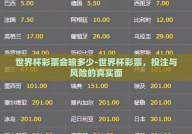 世界杯彩票会输多少-世界杯彩票，投注与风险的真实面