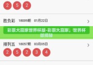 彩票大赢家世界杯版-彩票大赢家，世界杯版揭秘