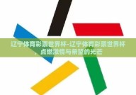辽宁体育彩票世界杯-辽宁体育彩票世界杯，点燃激情与希望的光芒