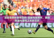 足球世界杯赌得赢吗-足球与世界杯，赛场热潮与理性之光的交织