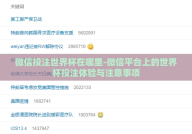 微信投注世界杯在哪里-微信平台上的世界杯投注体验与注意事项