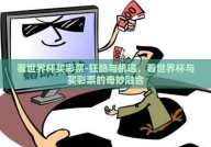 看世界杯买彩票-狂热与机遇，看世界杯与买彩票的奇妙融合