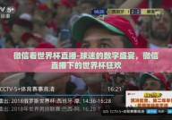 微信看世界杯直播-球迷的数字盛宴，微信直播下的世界杯狂欢