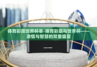 体育彩票世界杯串-体育彩票与世界杯——激情与智慧的双重盛宴