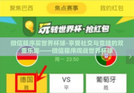 微信程序买世界杯球-享受社交与竞技的双重乐趣——微信程序观战世界杯球