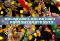 世界杯体育彩票投注-世界杯体育彩票投注，激情与理性的双重考量下的冒险之旅