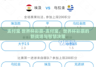 支付宝 世界杯彩票-支付宝，世界杯彩票的新战场与智慧决策